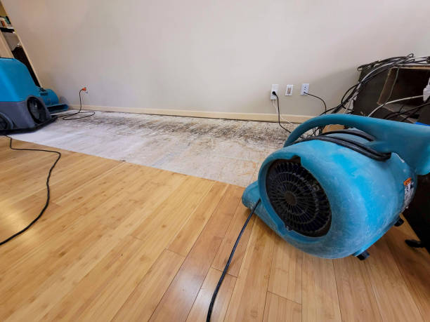 Reliable Basement Flood Cleanup contractor in Bridgewater, MA by Hirex Water Damage