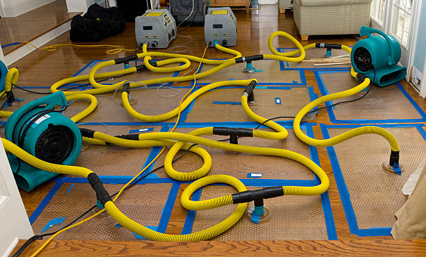 Professional Basement Flood Cleanup technician working in Bridgewater, MA
